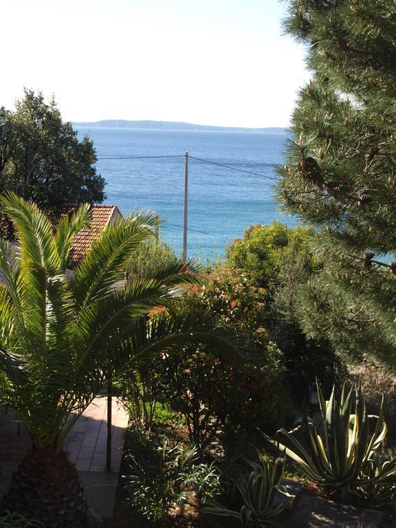 Les Lauriers Roses Aparthotel Le Le Rayol-Canadel-sur-Mer Buitenkant foto